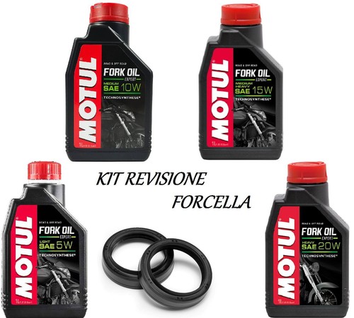 075 motul oil - oil, fork