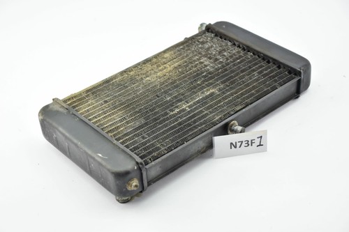 Aprilia 125 radiator - rs,