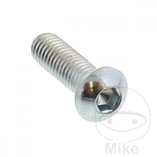 Sin marca brake disc - screw, oem