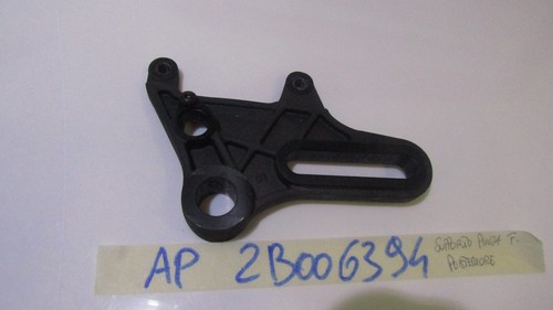 Rear brake caliper - caliper, holder